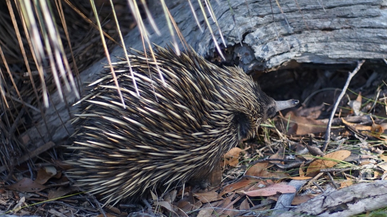 Photo of Others in Deep Creek
