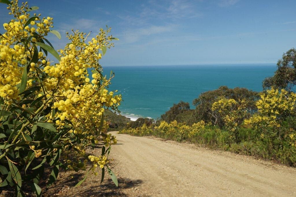 Photo of Others in Deep Creek