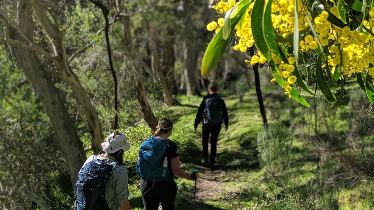 Photo of Others in Deep Creek
