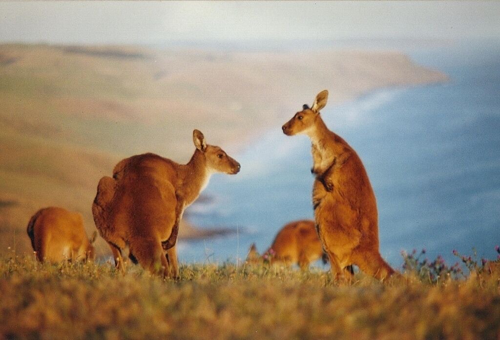 Photo of Others in Deep Creek