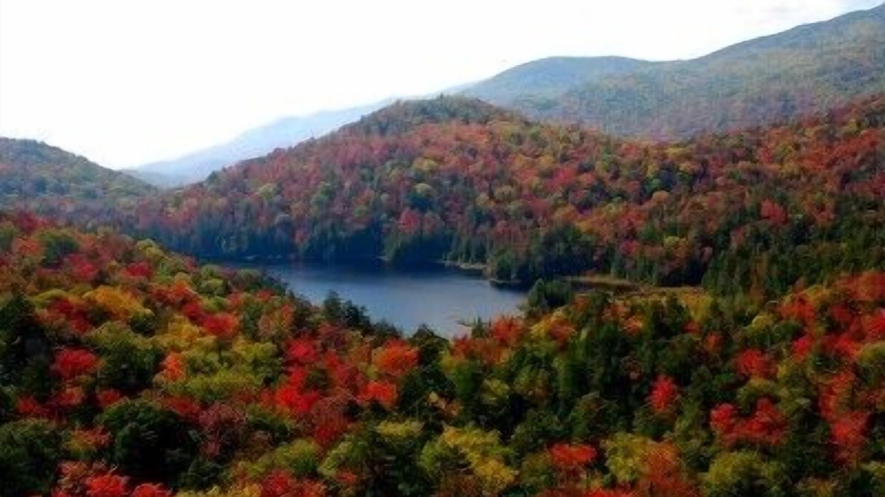 Photo of Others in Town of Ephratah