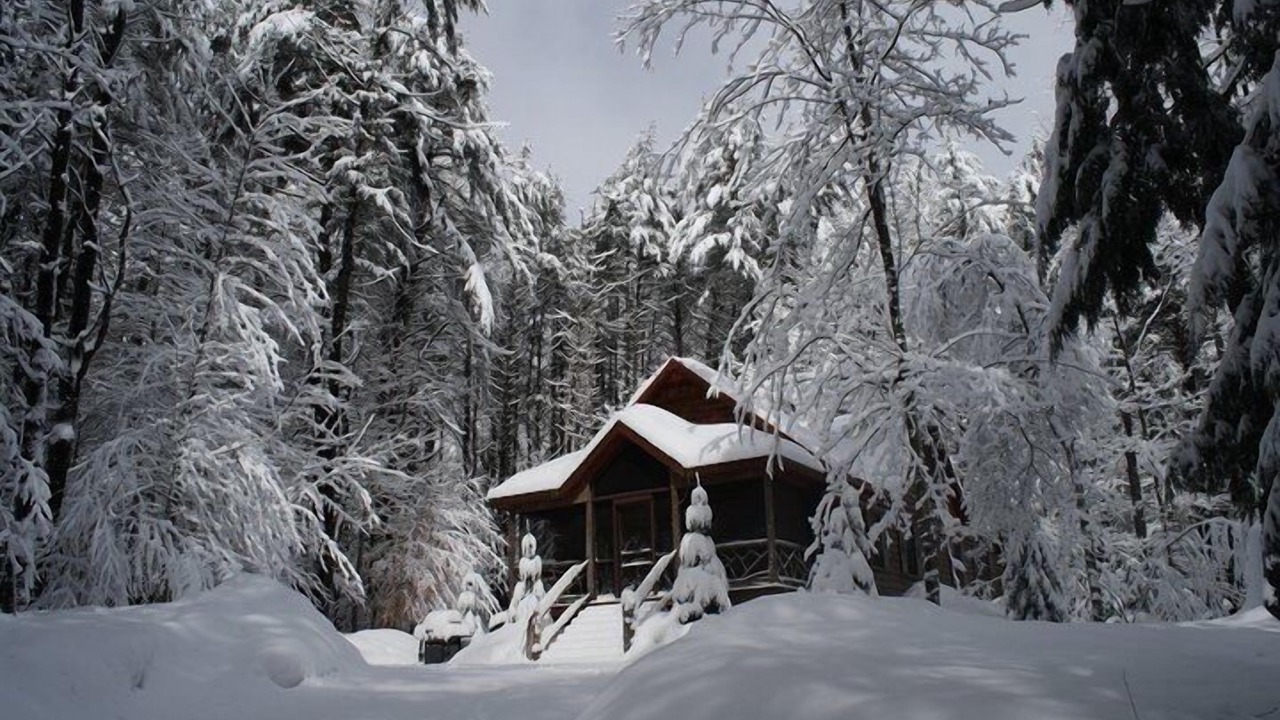 Photo of Others in Town of Ephratah