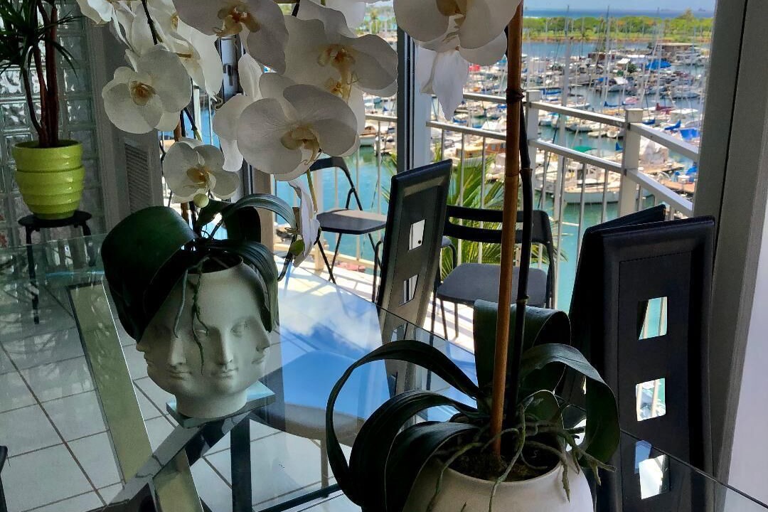 Photo of Others in Waikiki