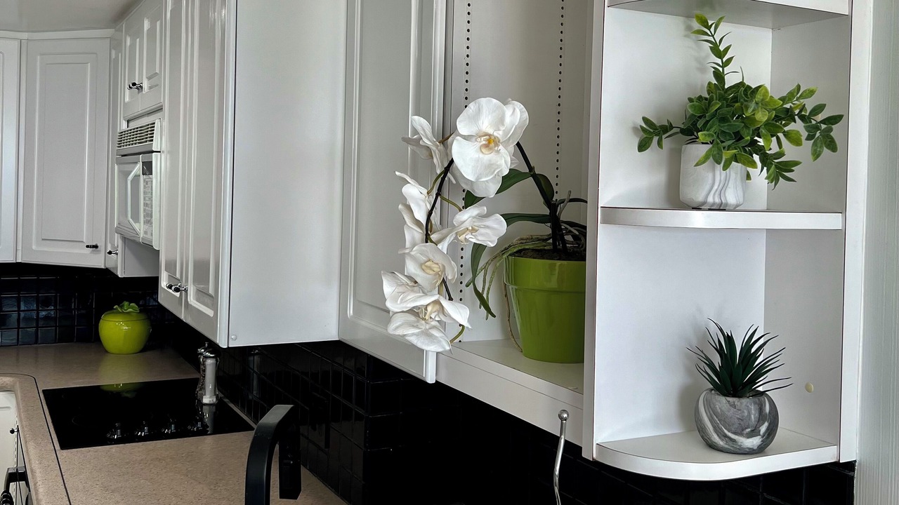 Photo of Kitchen in Waikiki