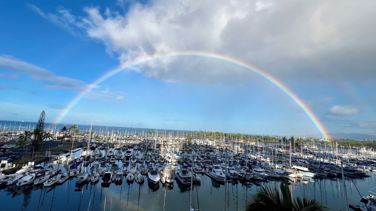 Photo of Others in Waikiki