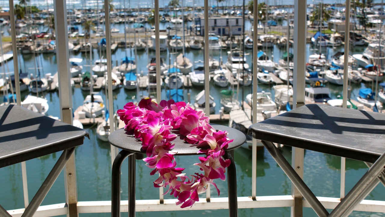 Photo of Others in Waikiki