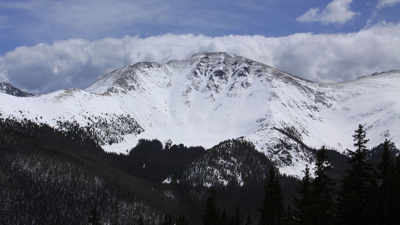 Photo of Others in Fraser