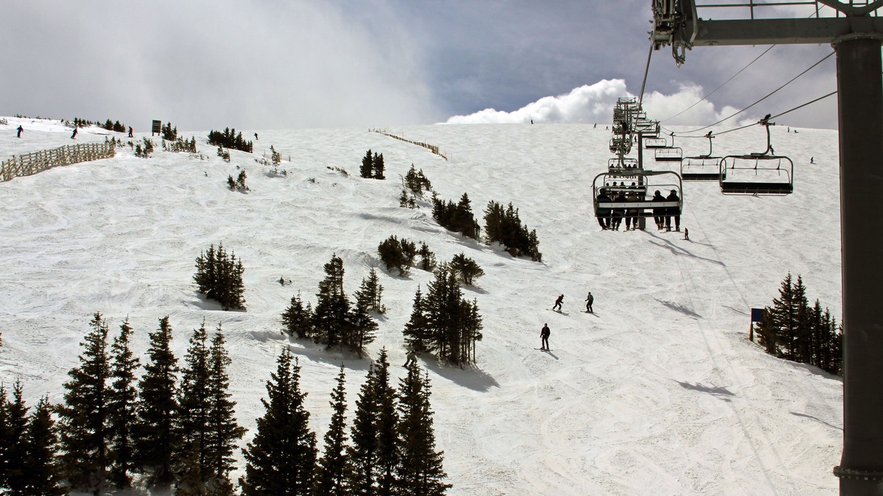 Photo of Others in Fraser