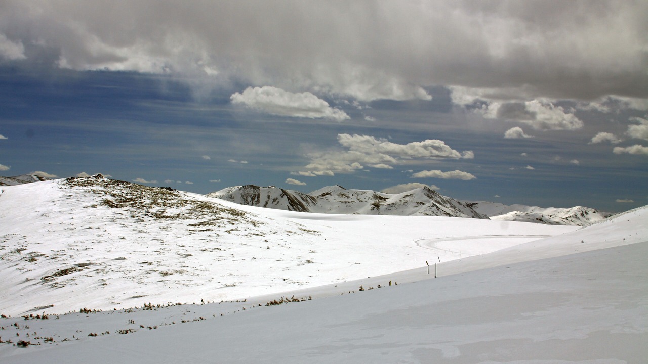 Photo of Others in Fraser