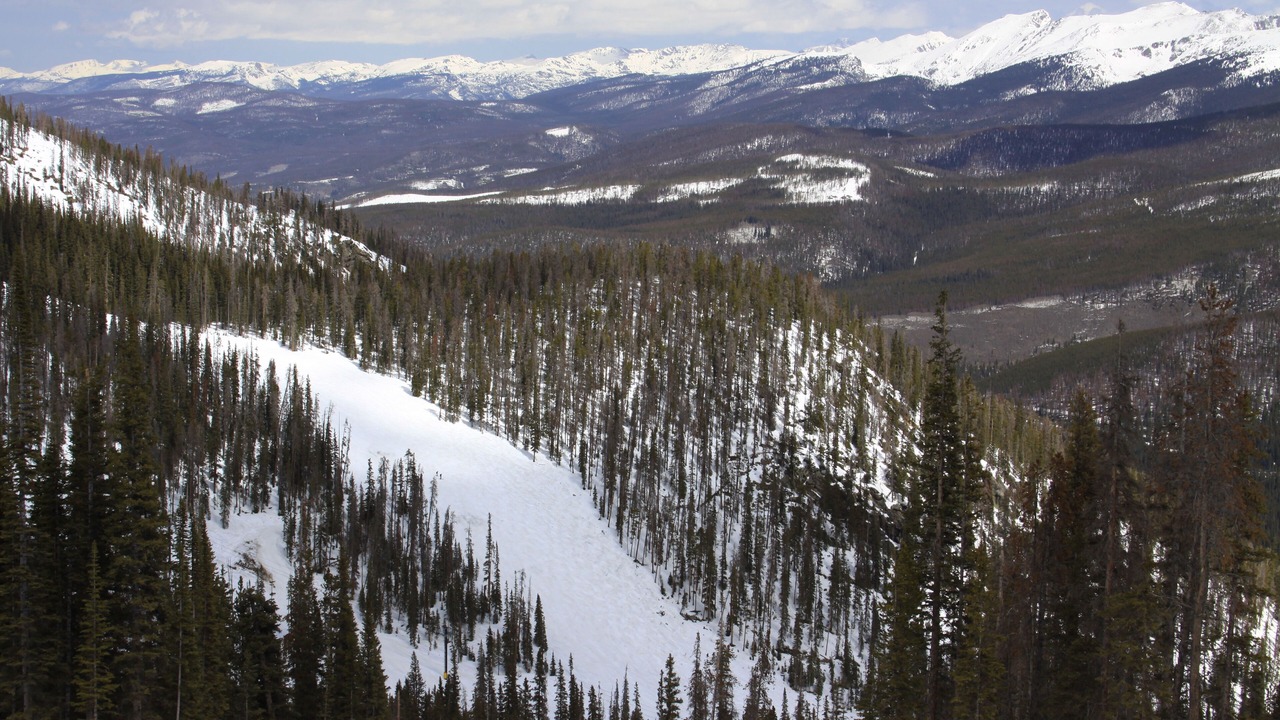 Photo of Others in Fraser