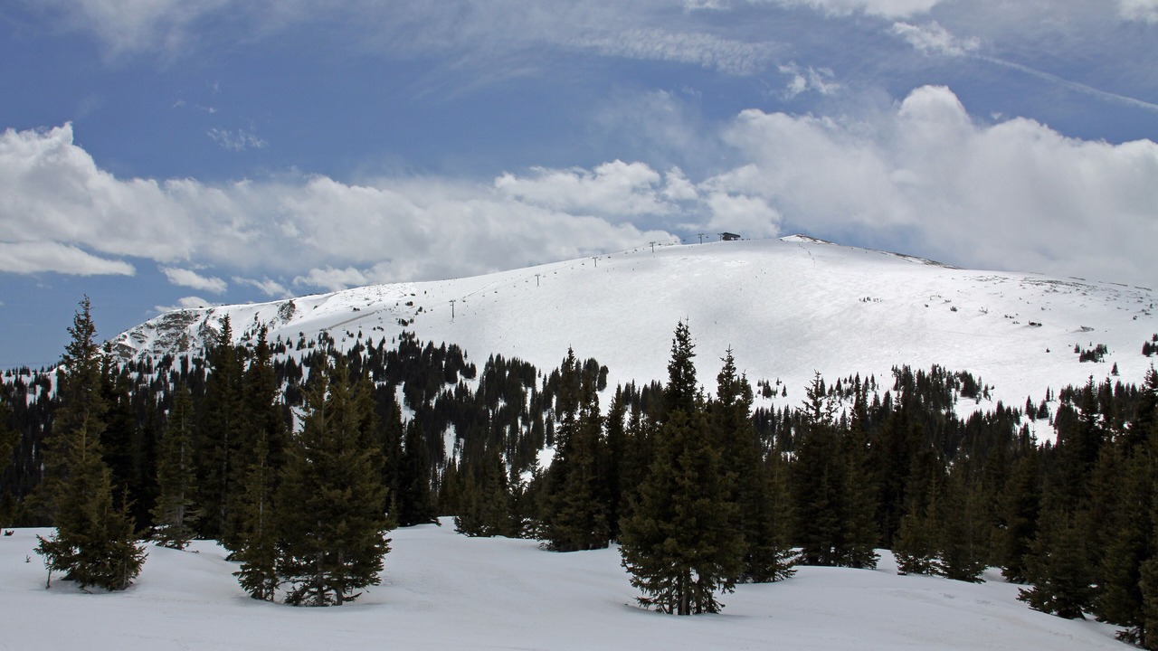 Photo of Others in Fraser