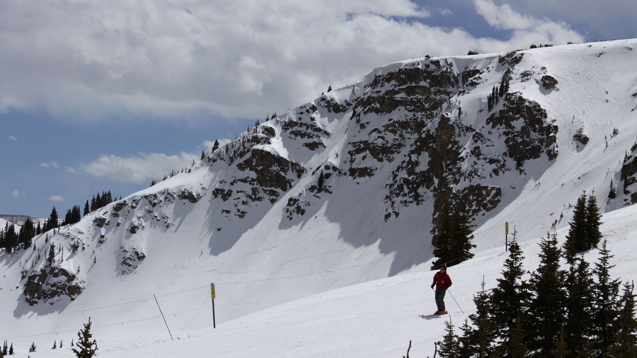 Photo of Others in Fraser