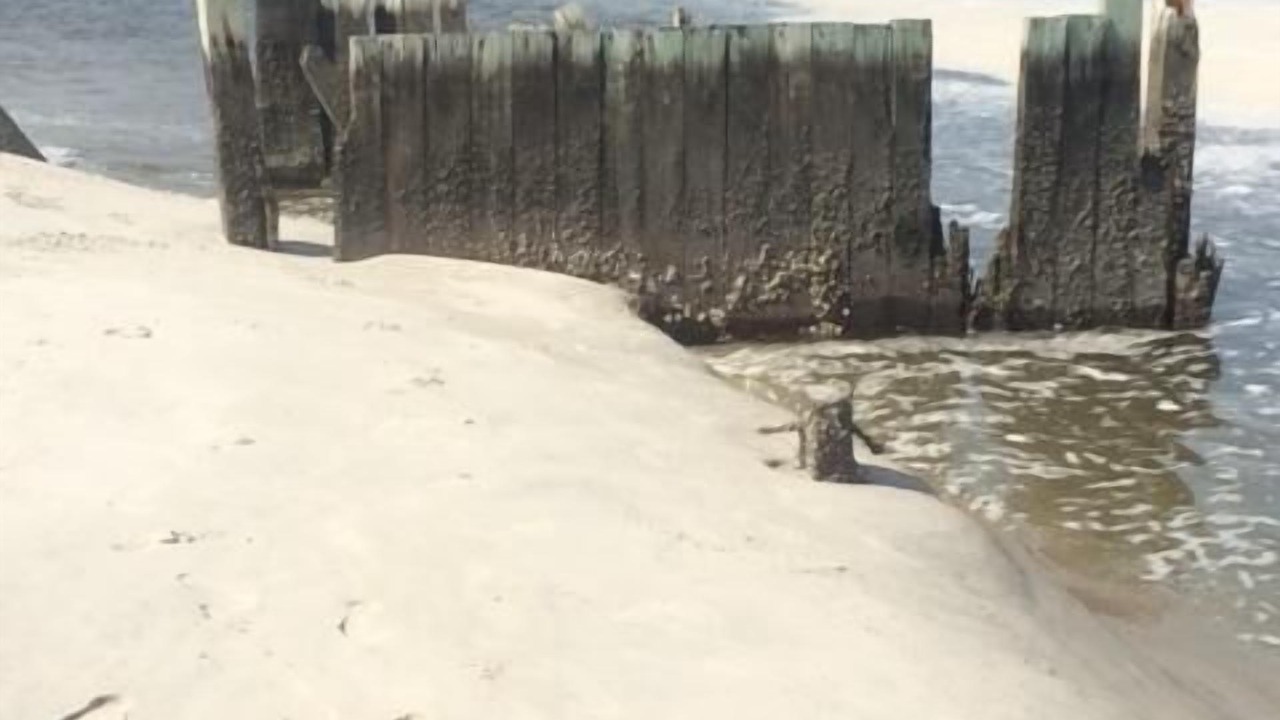 Photo of Others in Holden Beach
