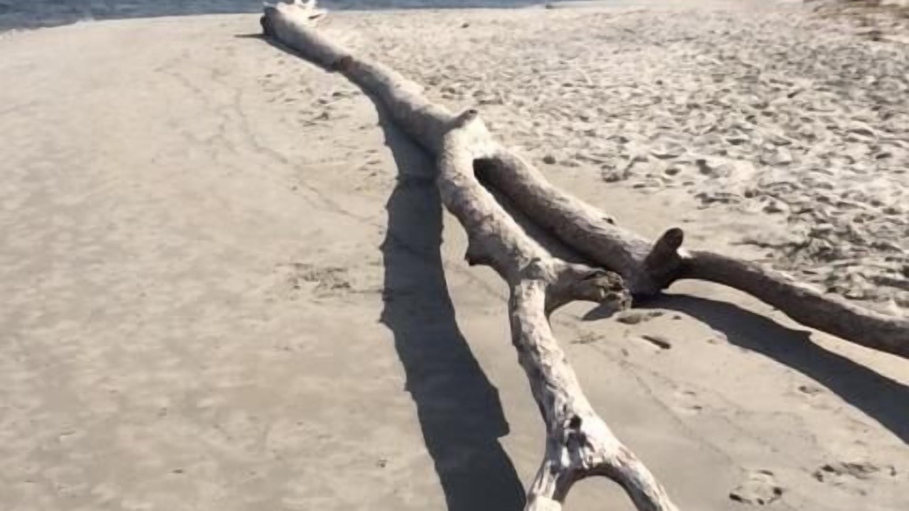 Photo of Others in Holden Beach
