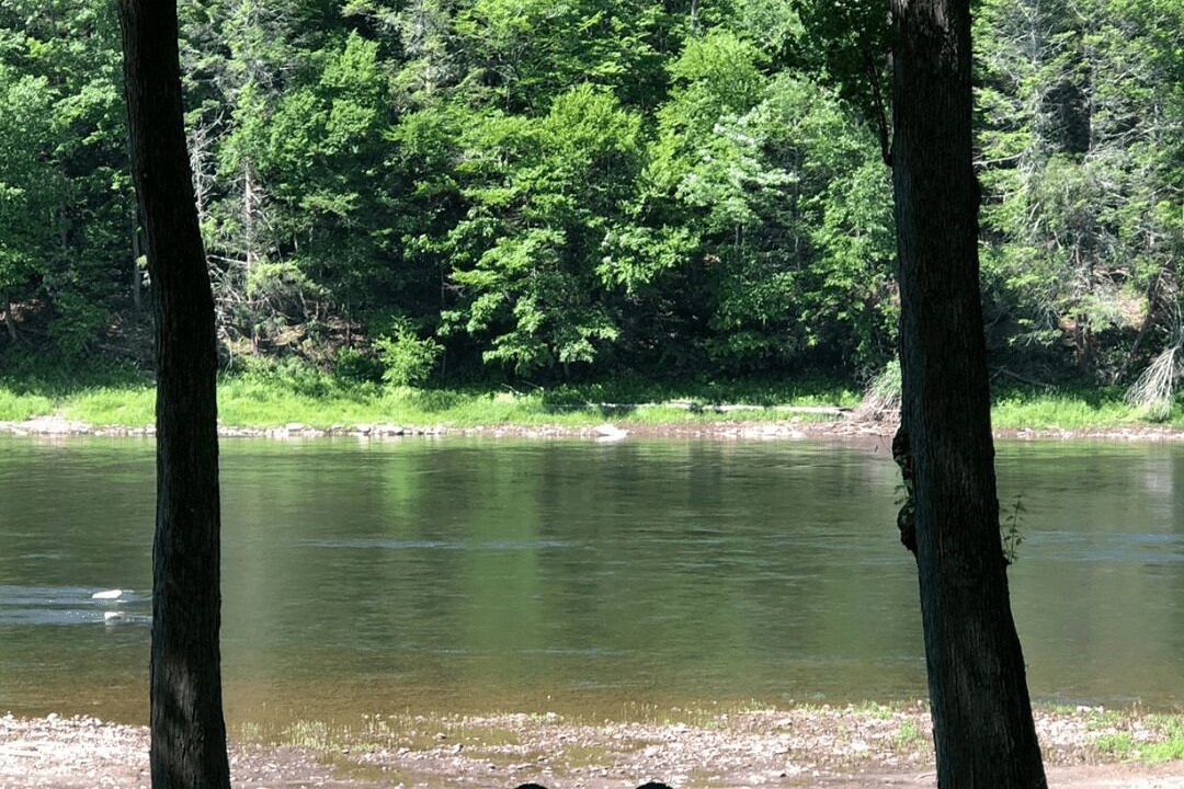 Photo of Others in Narrowsburg