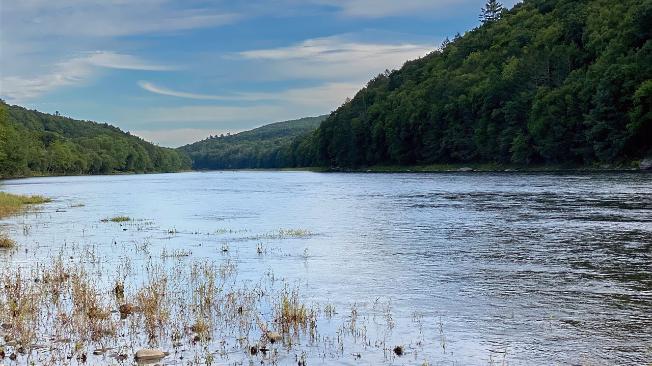 Photo of Others in Narrowsburg