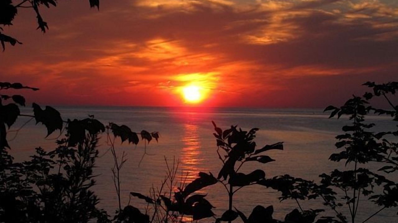 Photo of Outdoor in Ontario City