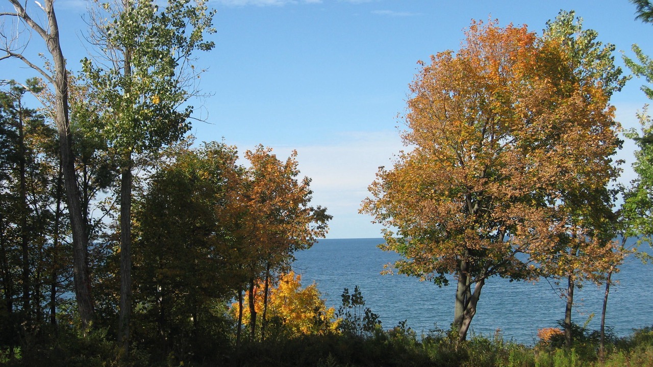 Photo of Others in Ontario City