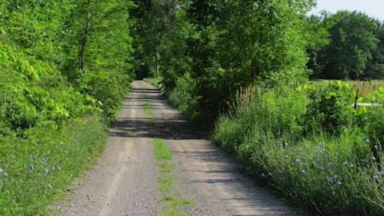 Photo of Others in Ontario City