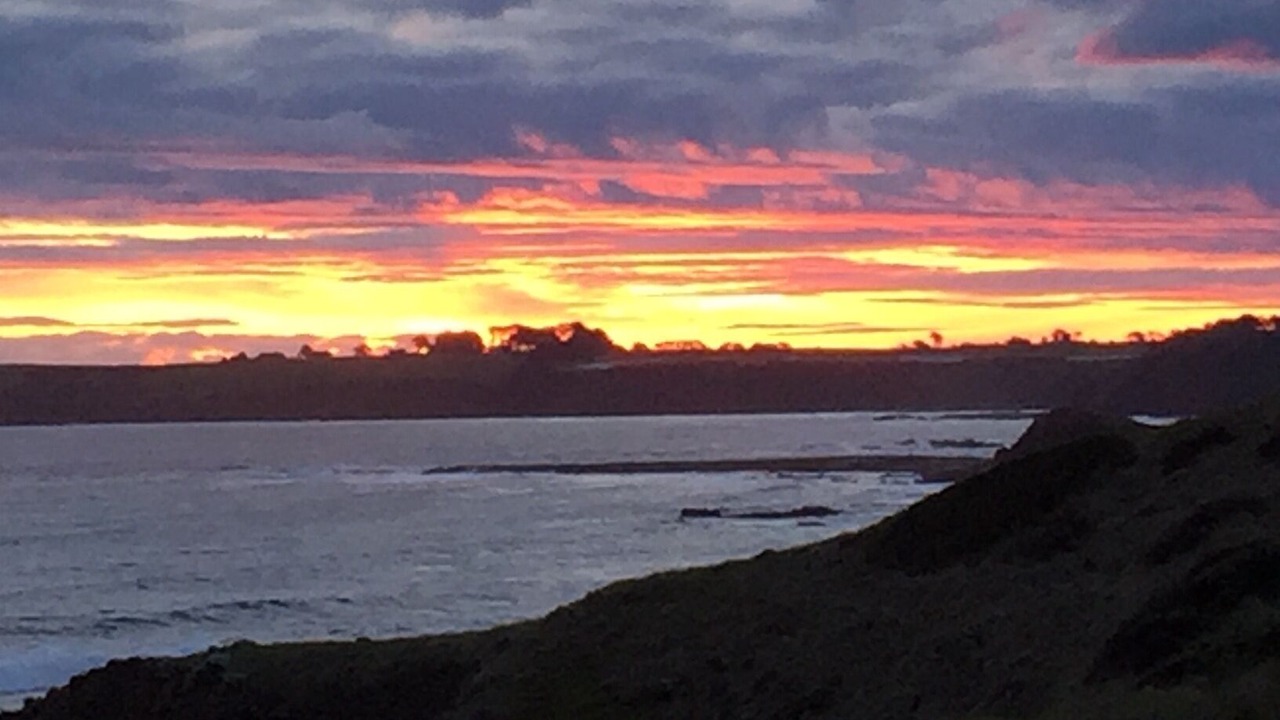 Photo of Others in Sunderland Bay