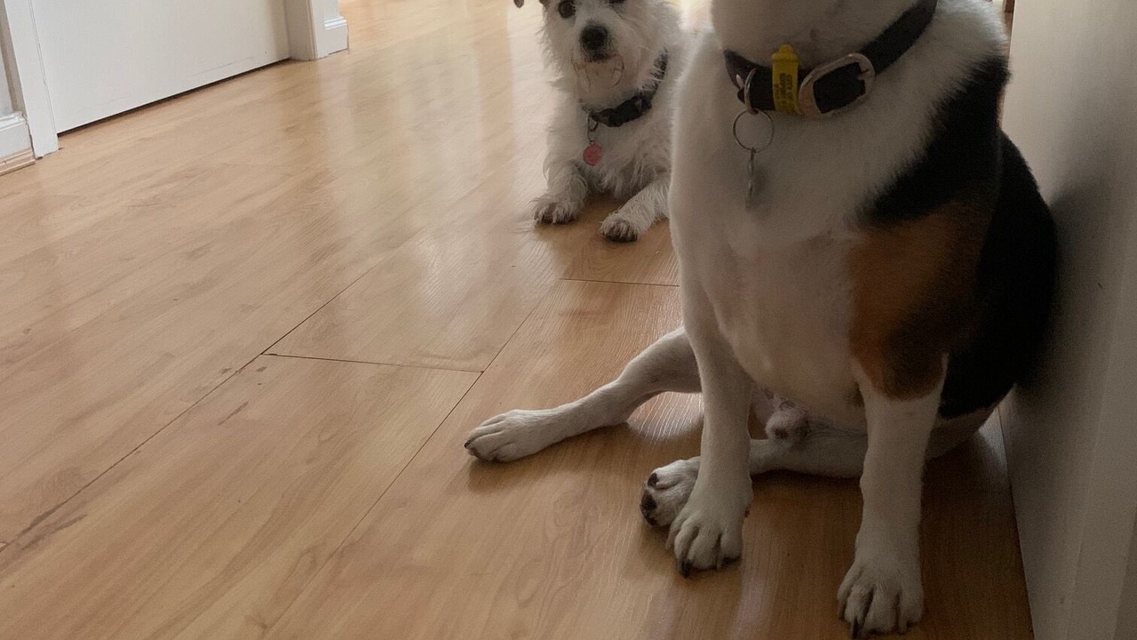 Photo of Others in Sunderland Bay