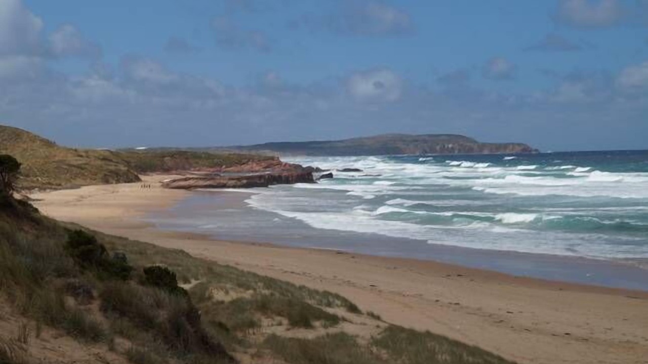 Photo of Others in Sunderland Bay