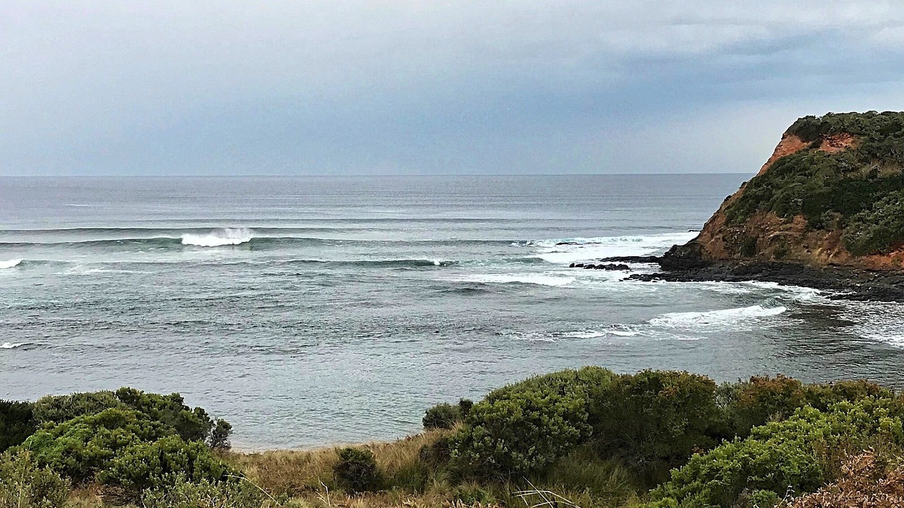 Photo of Others in Sunderland Bay