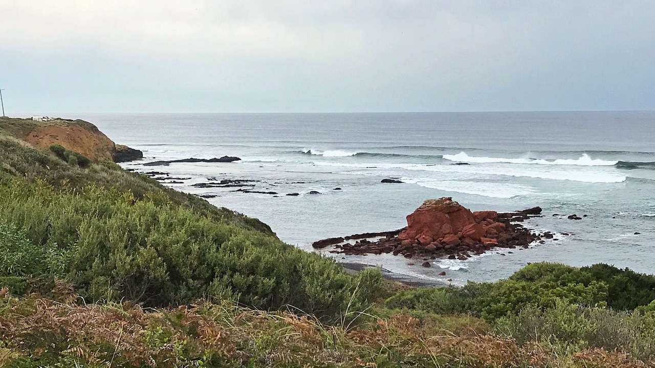 Photo of Others in Sunderland Bay