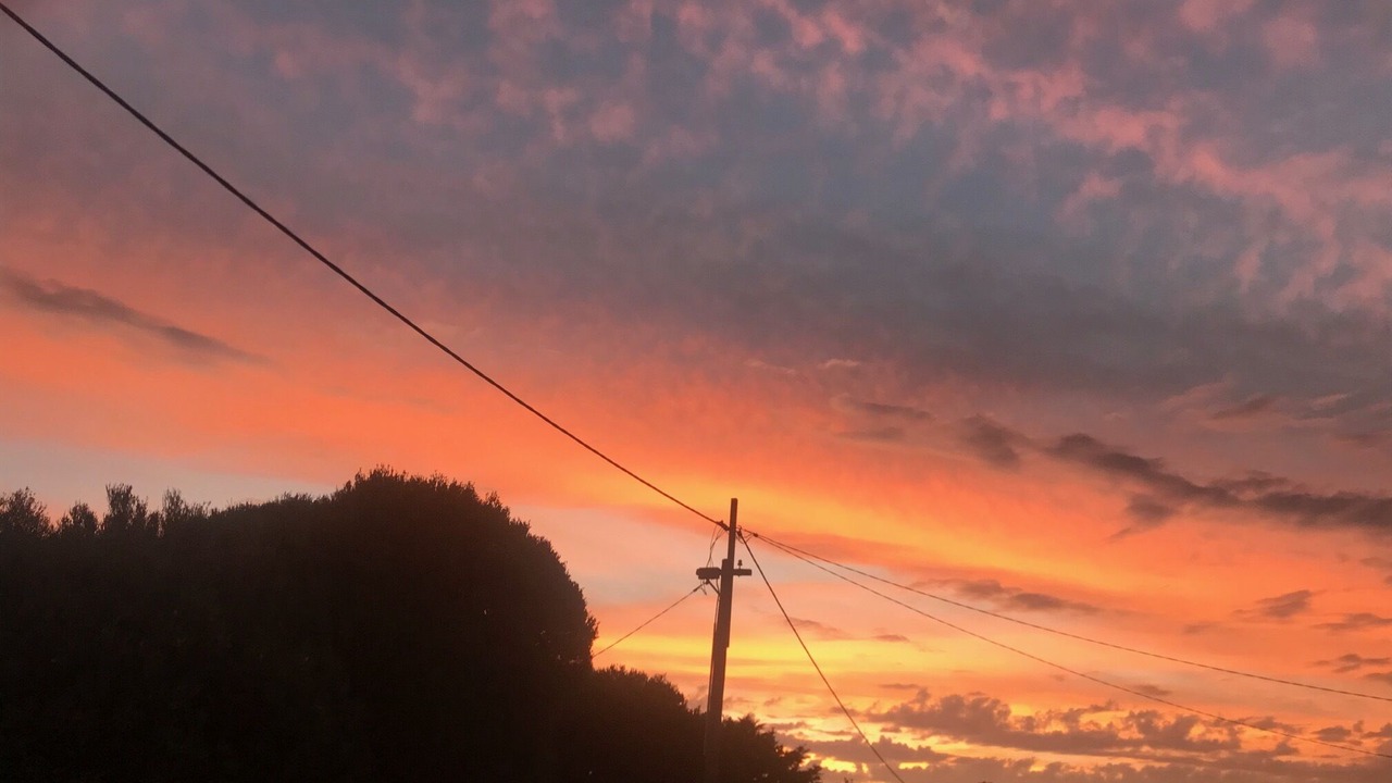 Photo of Others in Sunderland Bay