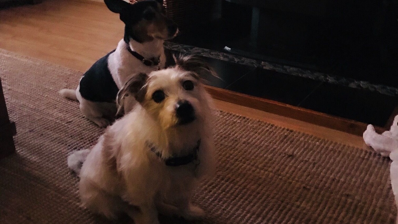 Photo of Others in Sunderland Bay