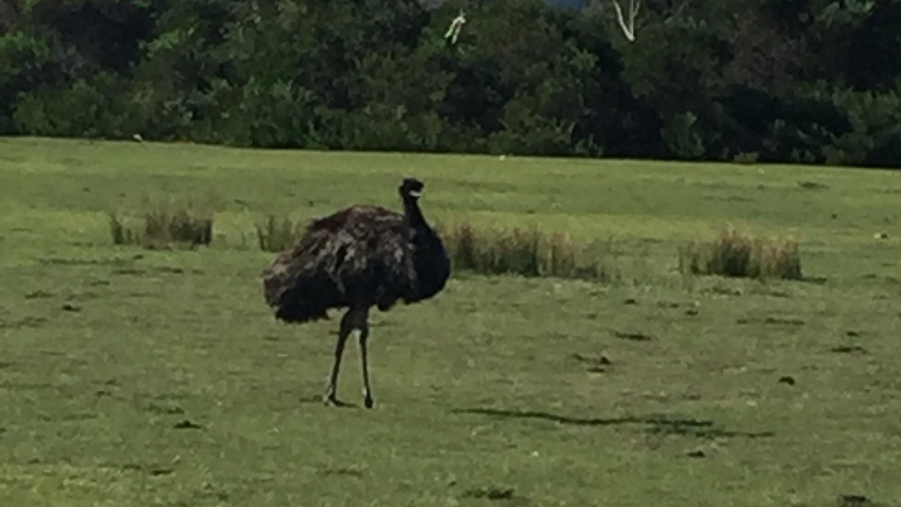 Photo of Others in Port Welshpool