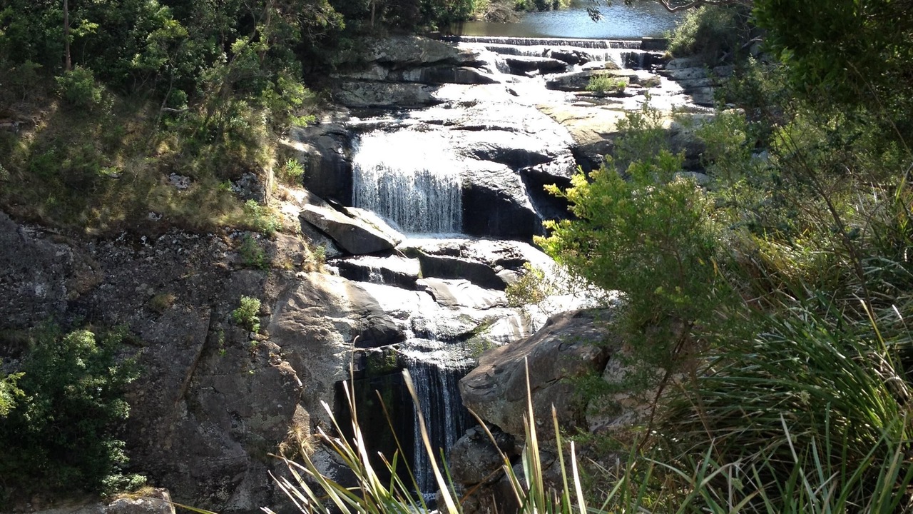 Photo of Others in Port Welshpool