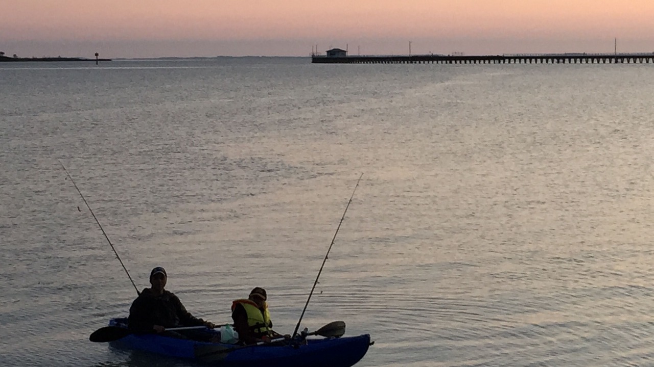 Photo of Others in Port Welshpool