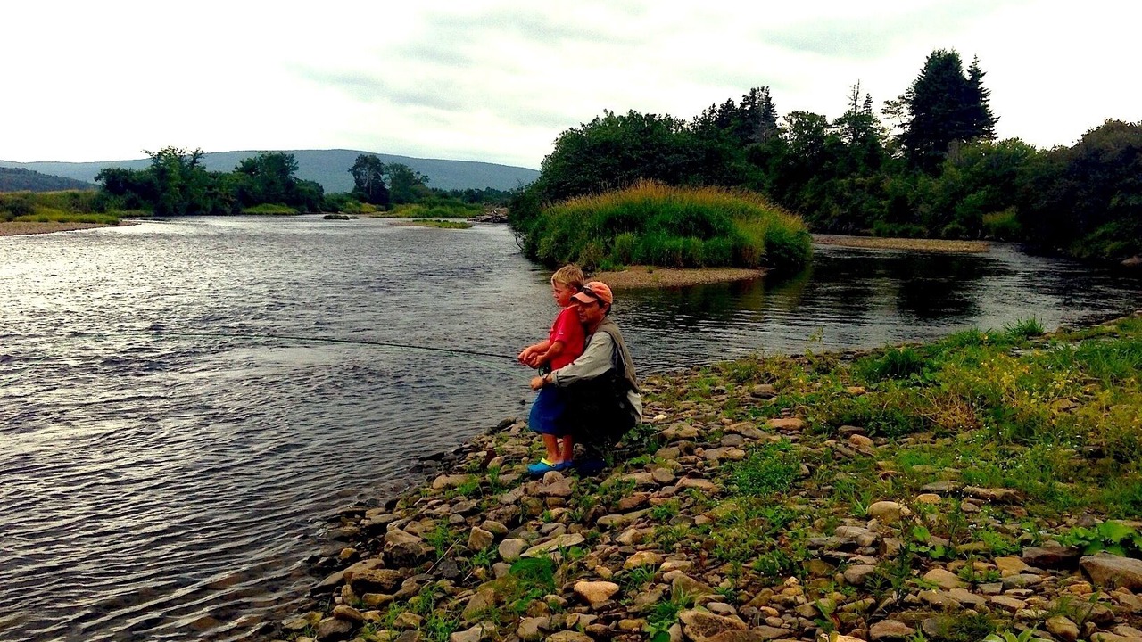 Photo of Others in Margaree Harbour