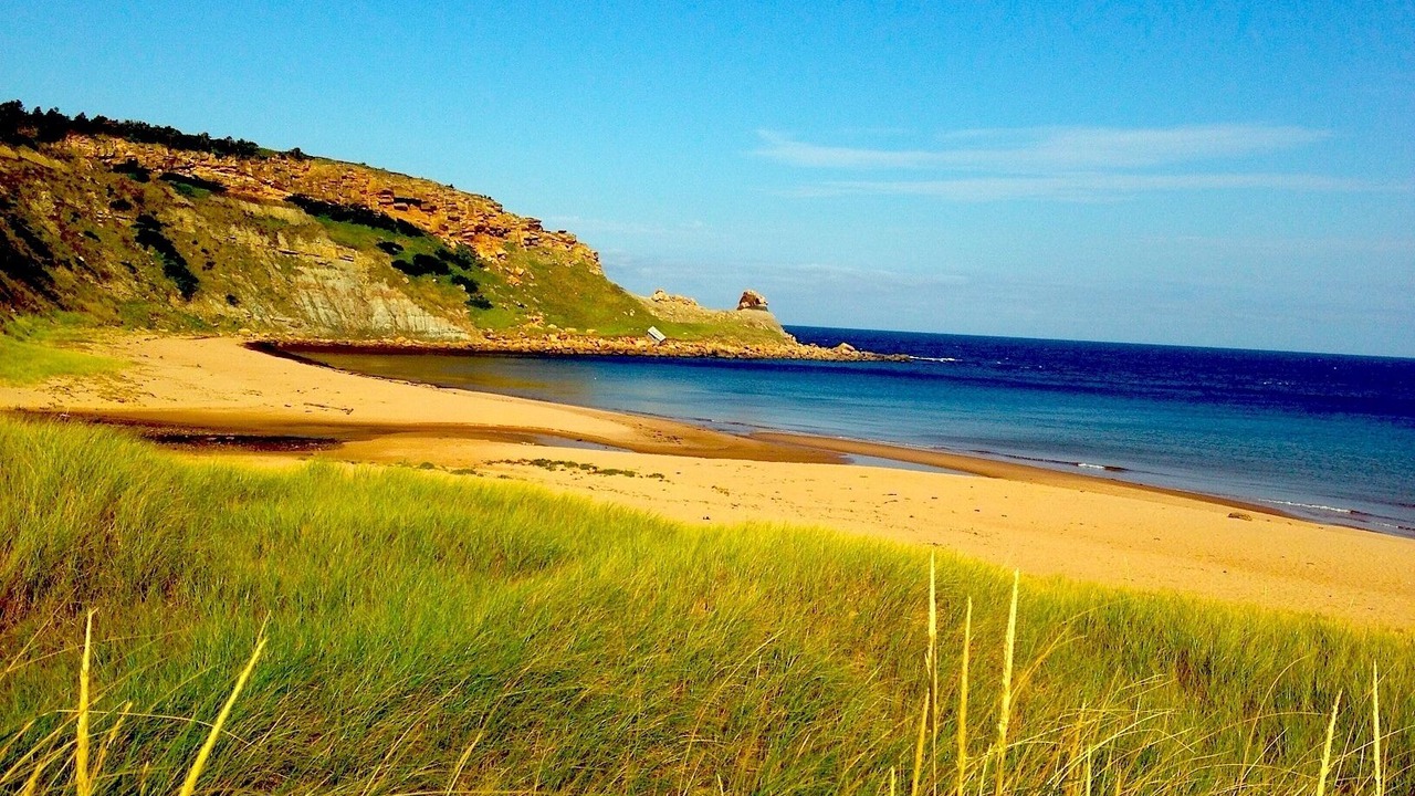 Photo of Others in Margaree Harbour