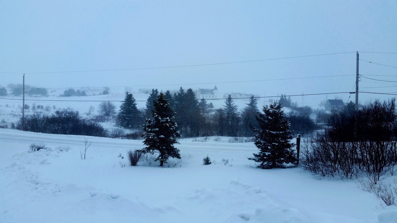 Photo of Others in Margaree Harbour