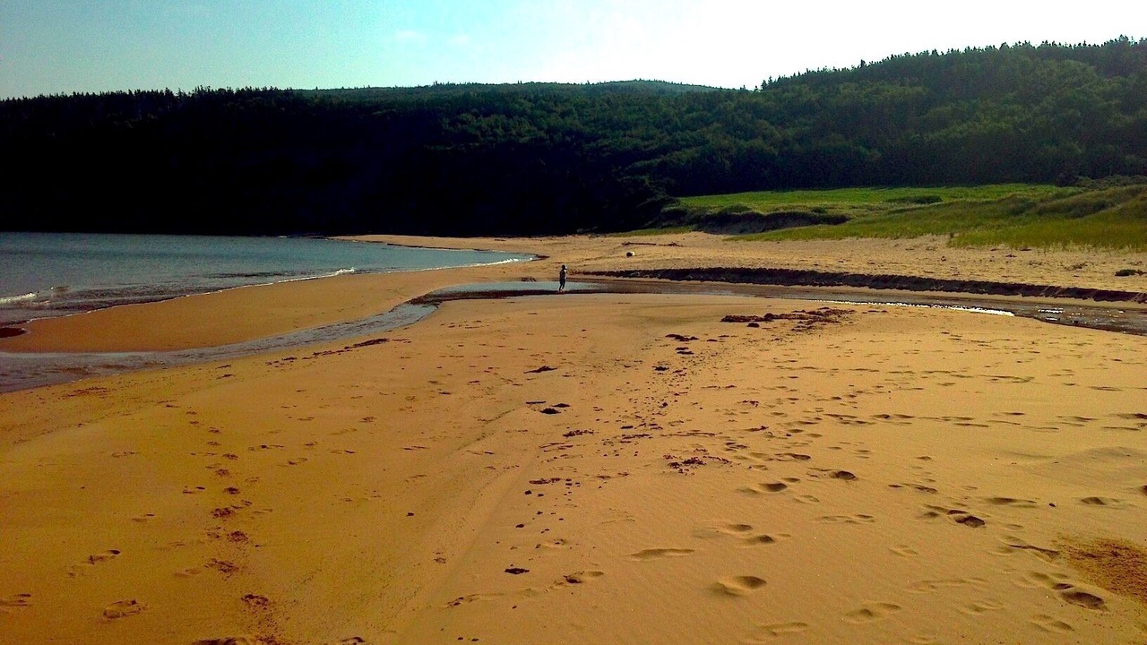 Photo of Others in Margaree Harbour