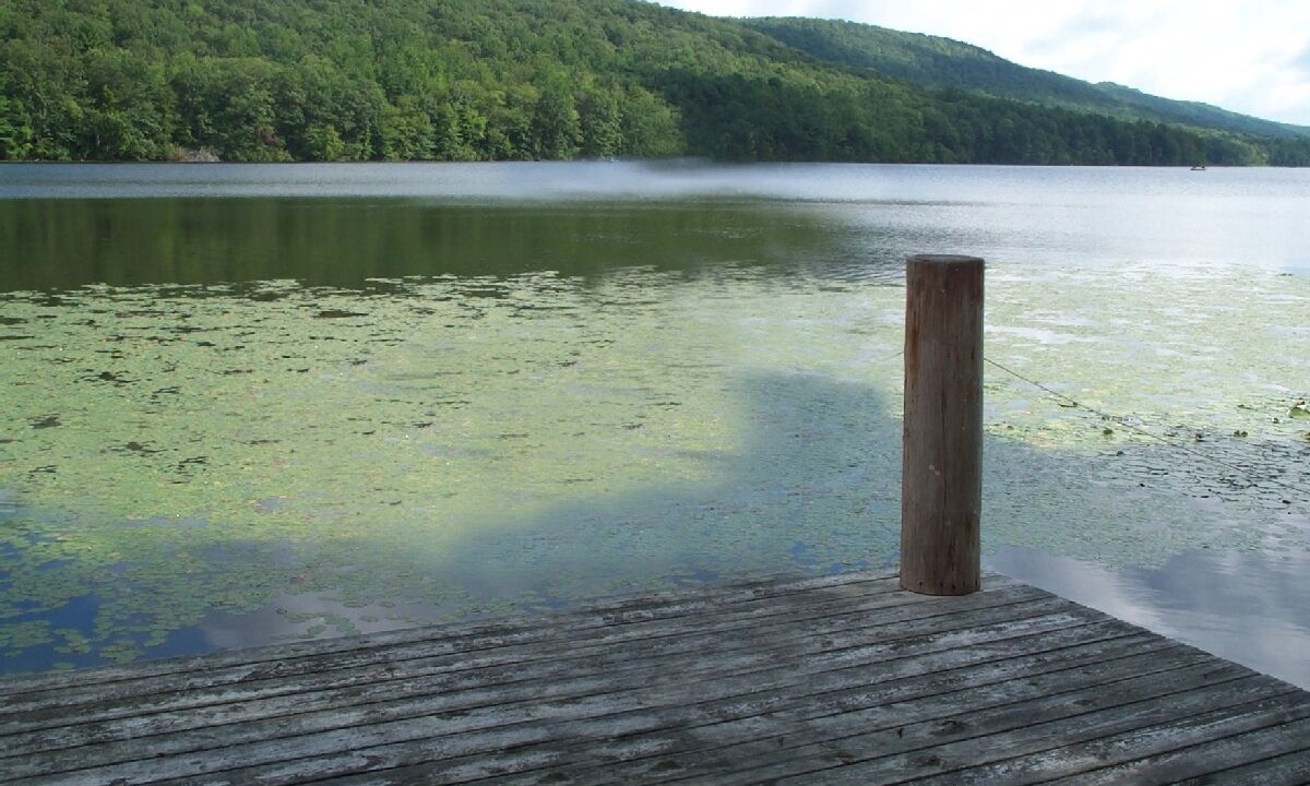 Photo of Outdoor in Wapwallopen