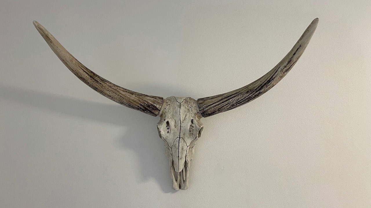 Photo of Others in Cronulla