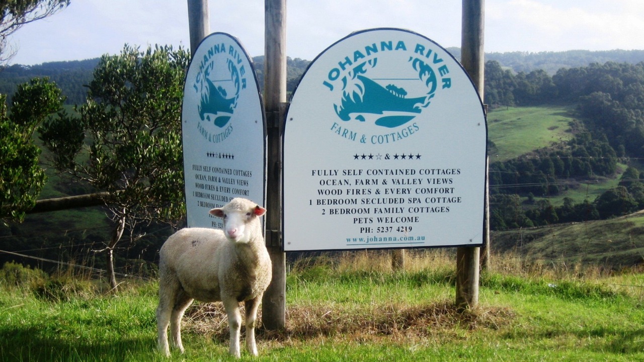 Photo of Others in Johanna