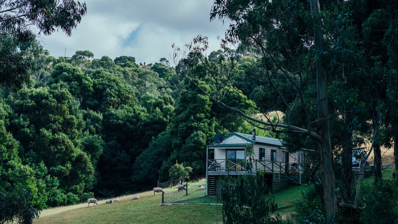 Photo of Others in Johanna