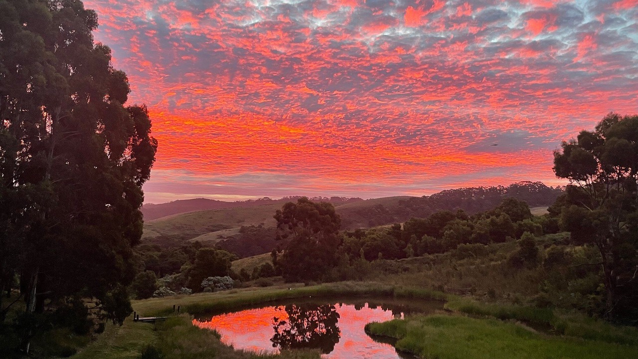 Photo of Others in Johanna