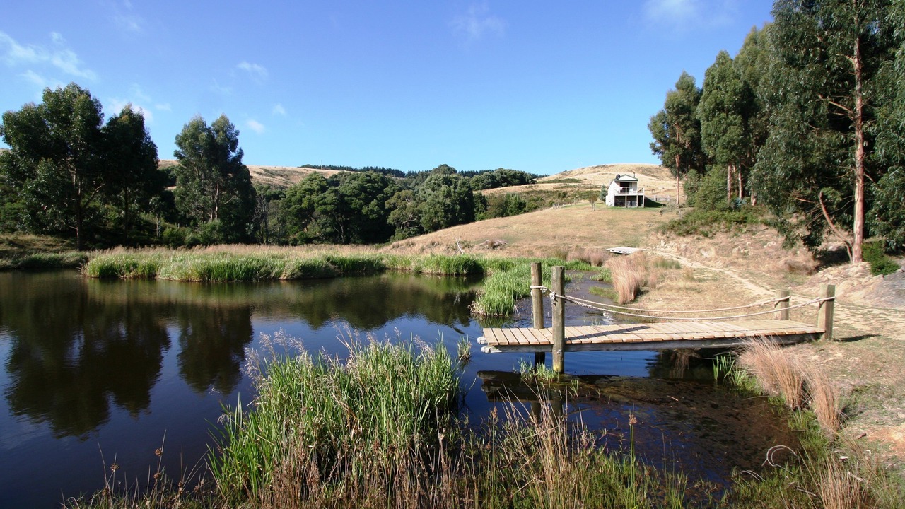 Photo of Others in Johanna