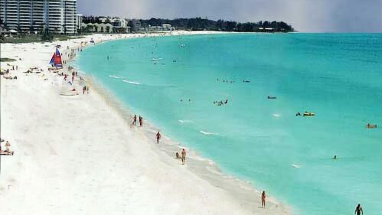Photo of Others in Siesta Key