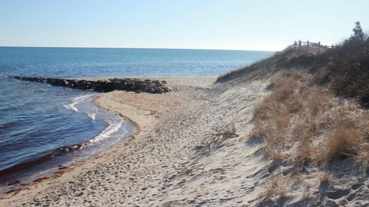 Photo of Others in Popponesset