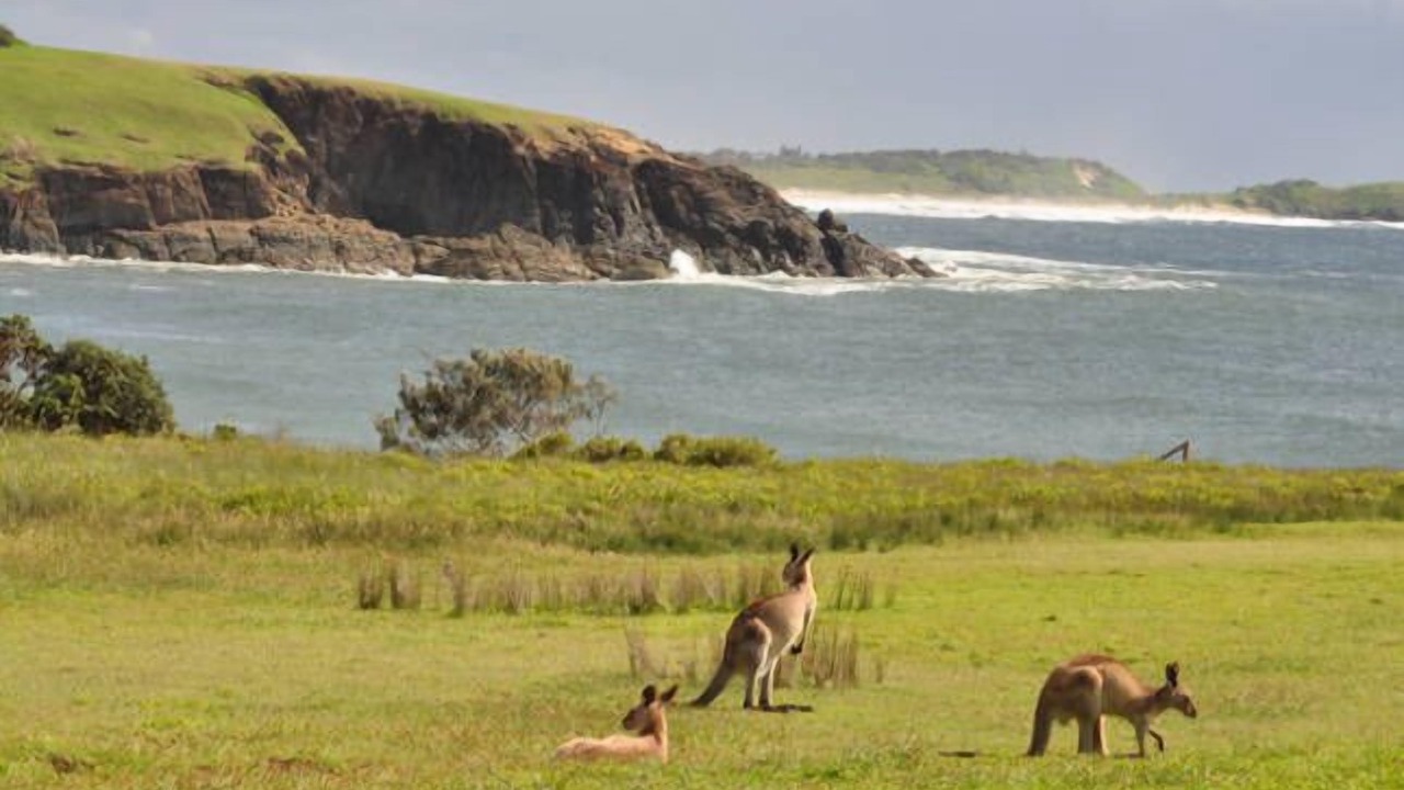 Photo of Outdoor in Emerald Beach