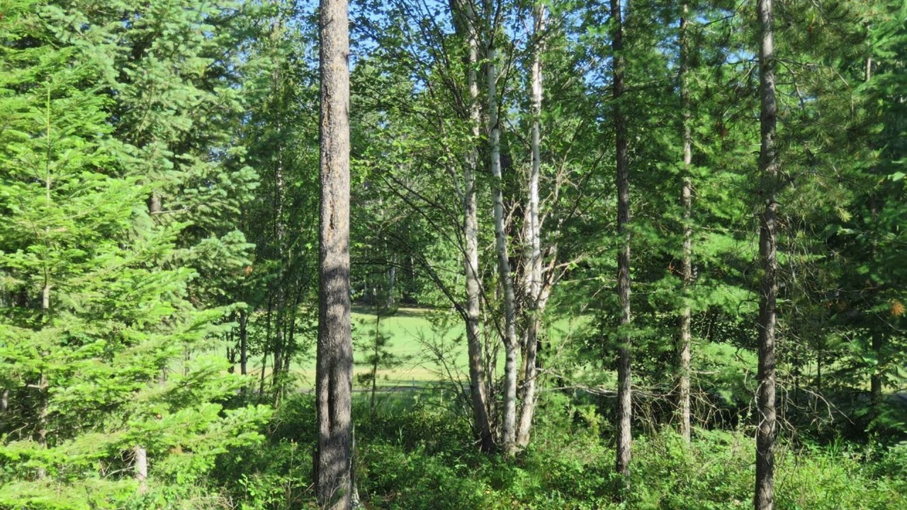 Photo of Others in Columbia Falls