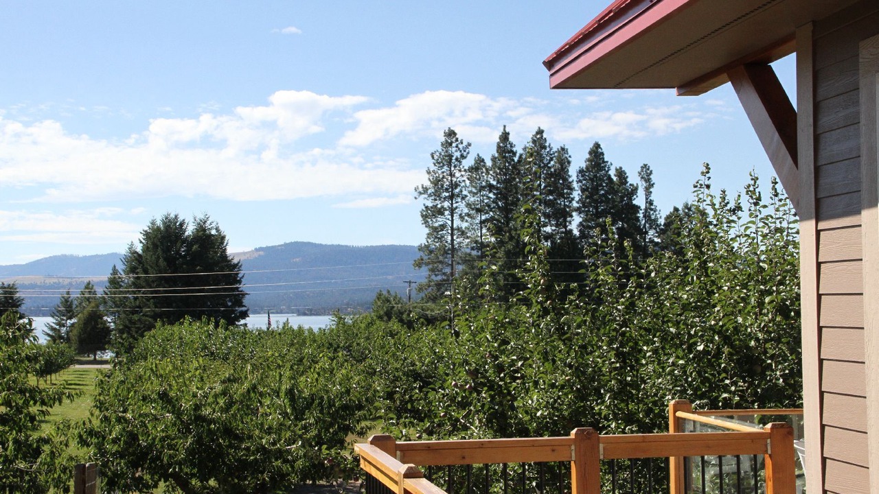 Photo of Outdoor in Finley Point