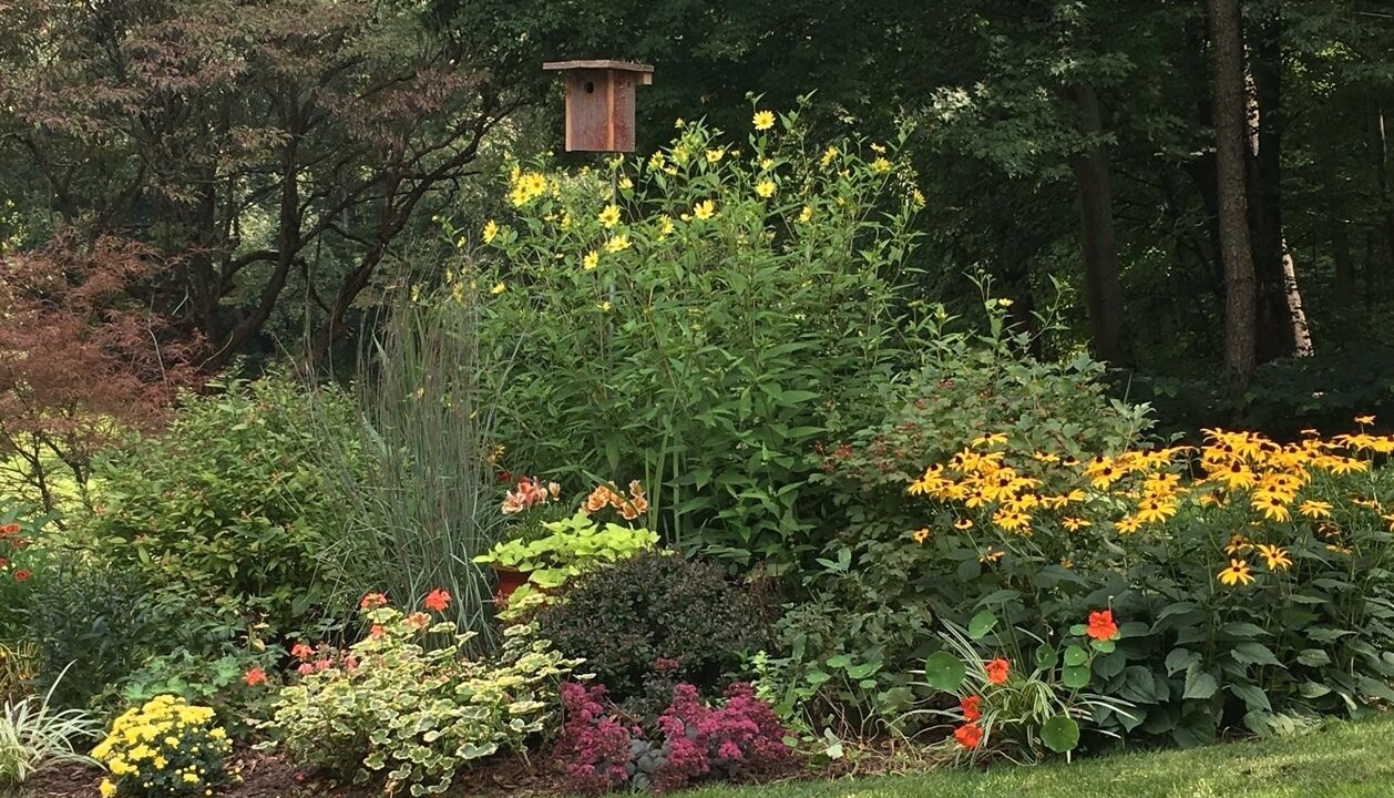 Photo of Outdoor in Galesburg