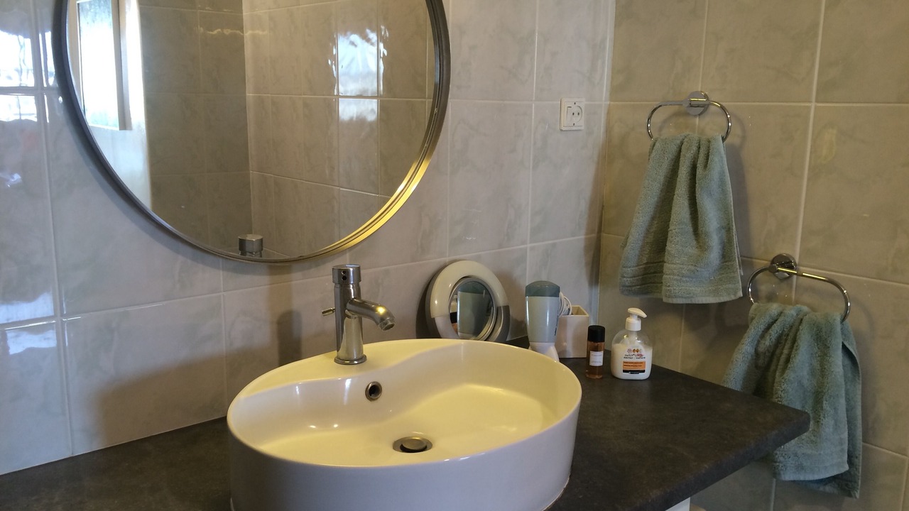 Photo of Bathroom in Quartier de Javel